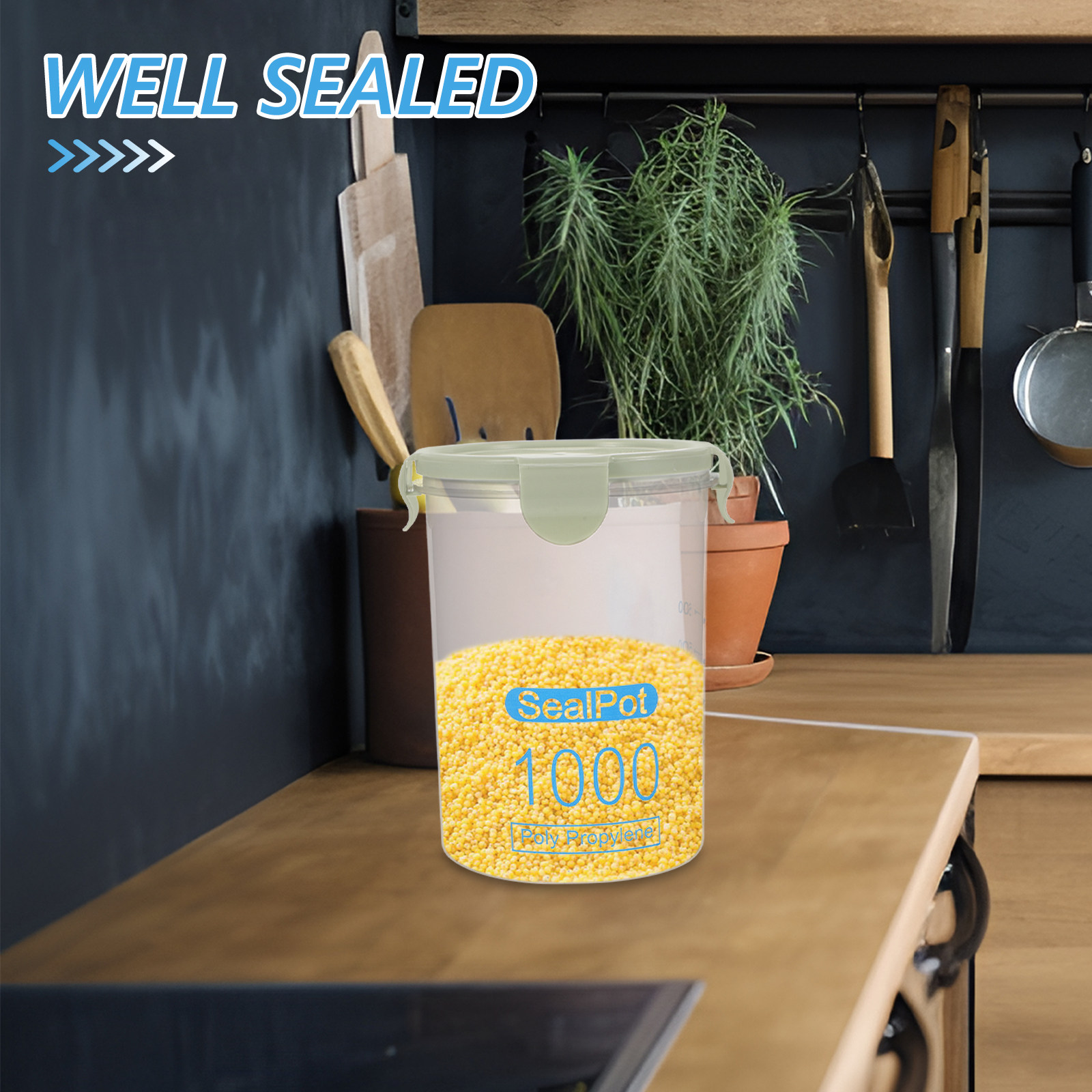Premium Transparent Polypropyl - Meal Prep Pasta บทวิจารณ์และราคา